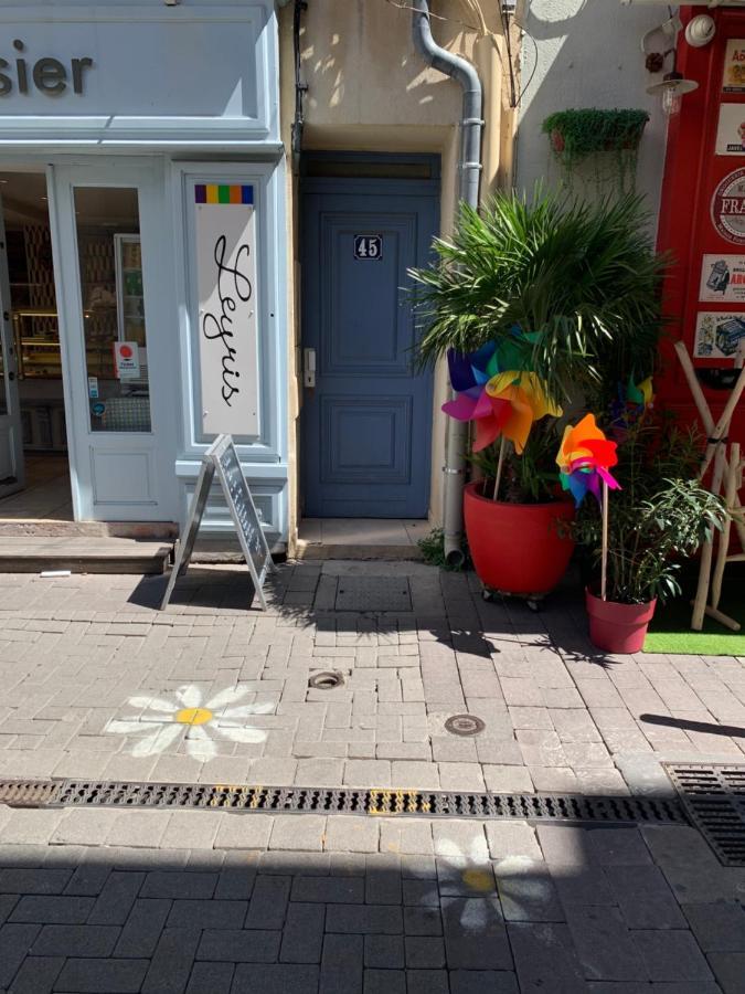 Appartement Terrasse Climatise Calme En Centre-Ville L'Isle-sur-la-Sorgue Kültér fotó